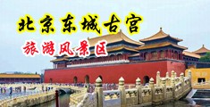 大鸡巴造少妇毛茸茸视频中国北京-东城古宫旅游风景区