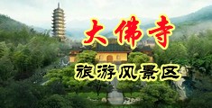 弯曲的大黑吊插入小屄屄中国浙江-新昌大佛寺旅游风景区